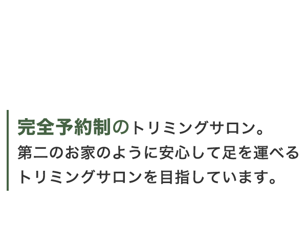 完全予約制のトリミングサロン。第二のお家のように安心して足を運べるトリミングサロンを目指しています。